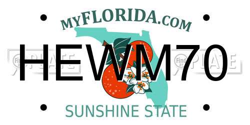 HEWM70 Florida License Plate