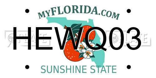 HEWQ03 Florida License Plate