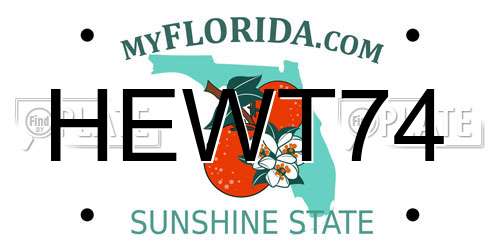 HEWT74 Florida License Plate