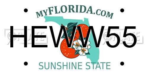HEWW55 Florida License Plate