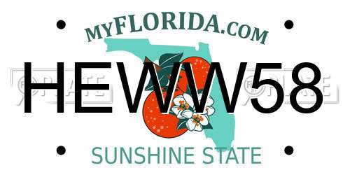 HEWW58 Florida License Plate
