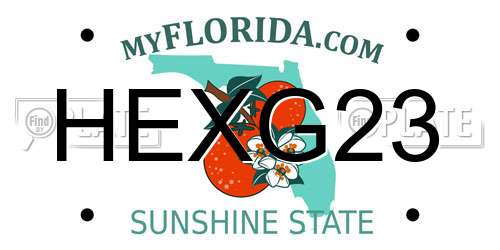 HEXG23 Florida License Plate