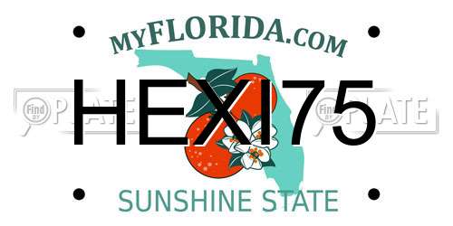 HEXI75 Florida License Plate
