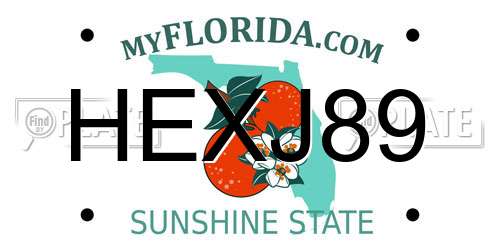 HEXJ89 Florida License Plate