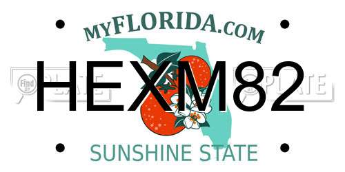 HEXM82 Florida License Plate