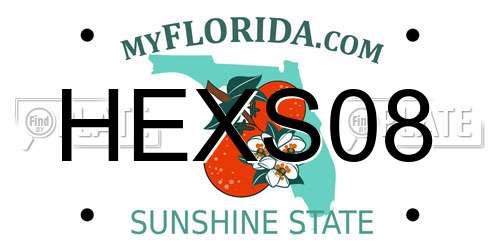 HEXS08 Florida License Plate