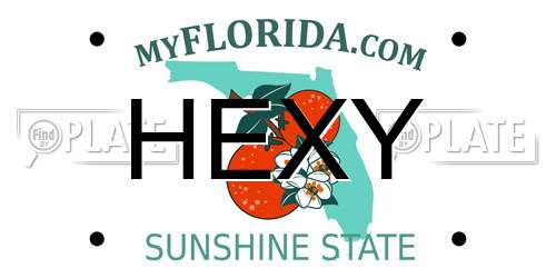 HEXY Florida License Plate