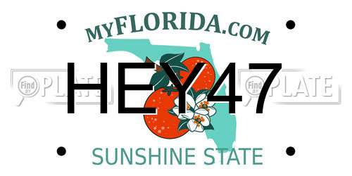 HEY47 Florida License Plate