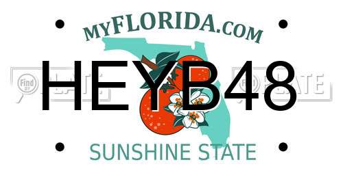 HEYB48 Florida License Plate