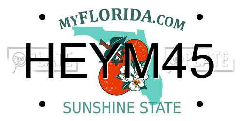 HEYM45 Florida License Plate