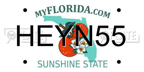 HEYN55 Florida License Plate