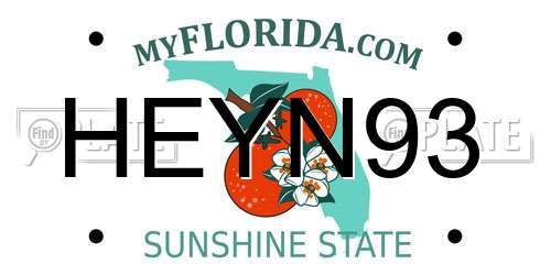HEYN93 Florida License Plate