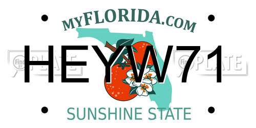 HEYW71 Florida License Plate