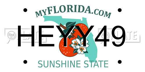 HEYY49 Florida License Plate