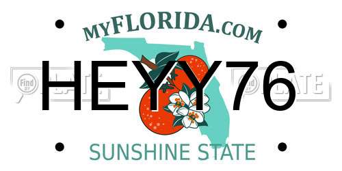 HEYY76 Florida License Plate