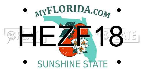 HEZF18 Florida License Plate
