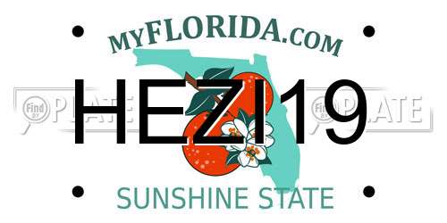 HEZI19 Florida License Plate