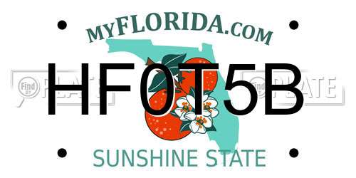 HF0T5B Florida License Plate