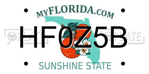 HF0Z5B Florida License Plate