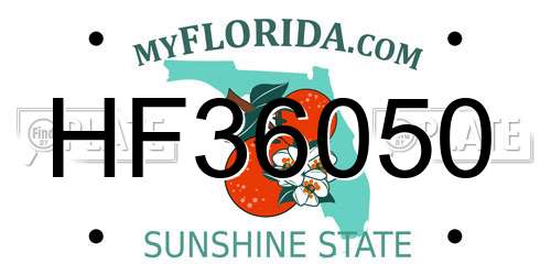 HF36050 Florida License Plate