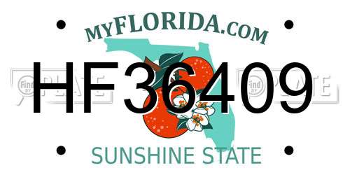 HF36409 Florida License Plate