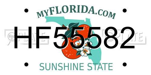 HF55582 Florida License Plate