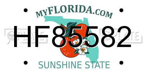 HF85582 Florida License Plate