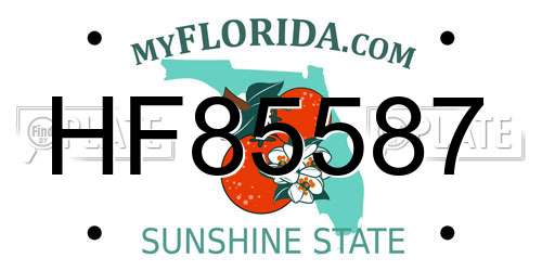 HF85587 Florida License Plate