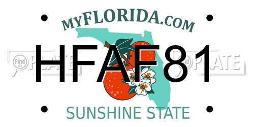 HFAF81 Florida License Plate