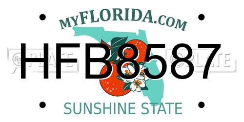HFB8587 Florida License Plate