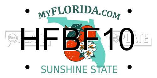 HFBF10 Florida License Plate