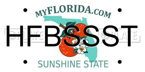 HFBSSST Florida License Plate