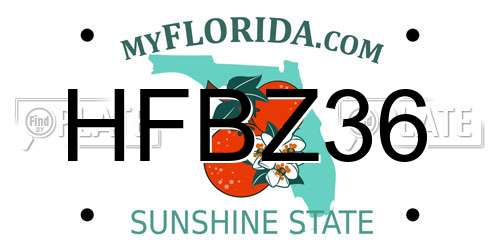 HFBZ36 Florida License Plate
