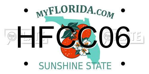 HFCC06 Florida License Plate