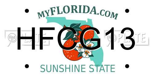 HFCG13 Florida License Plate