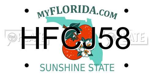 HFCJ58 Florida License Plate