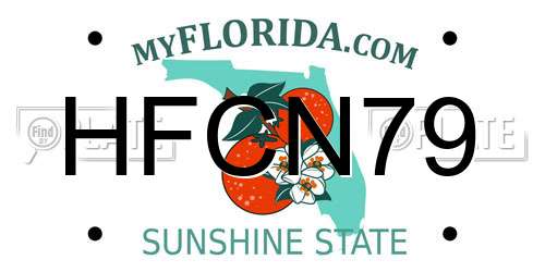 HFCN79 Florida License Plate