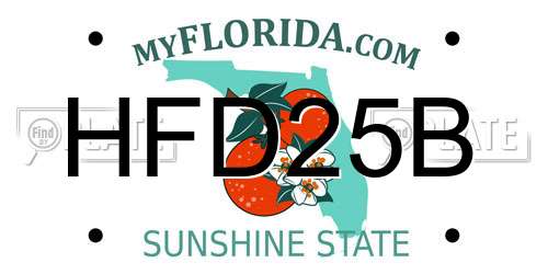 HFD25B Florida License Plate