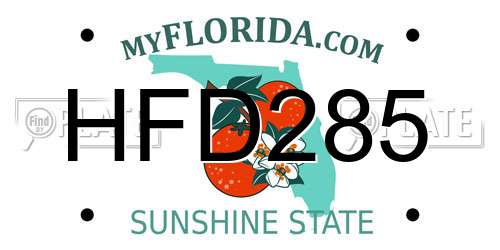HFD285 Florida License Plate
