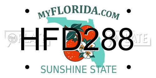 HFD288 Florida License Plate