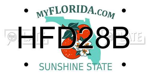 HFD28B Florida License Plate
