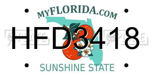 HFD3418 Florida License Plate