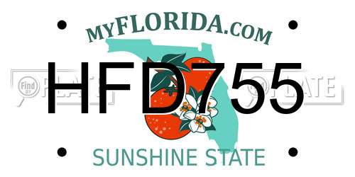 HFD755 Florida License Plate