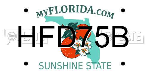 HFD75B Florida License Plate