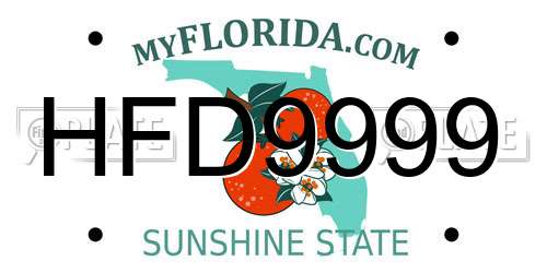 HFD9999 Florida License Plate