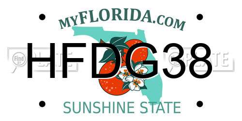 HFDG38 Florida License Plate