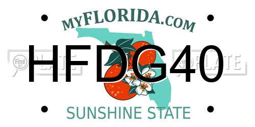 HFDG40 Florida License Plate