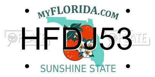 HFDJ53 Florida License Plate