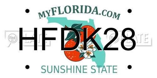 HFDK28 Florida License Plate