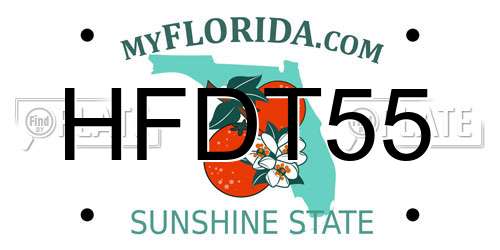 HFDT55 Florida License Plate